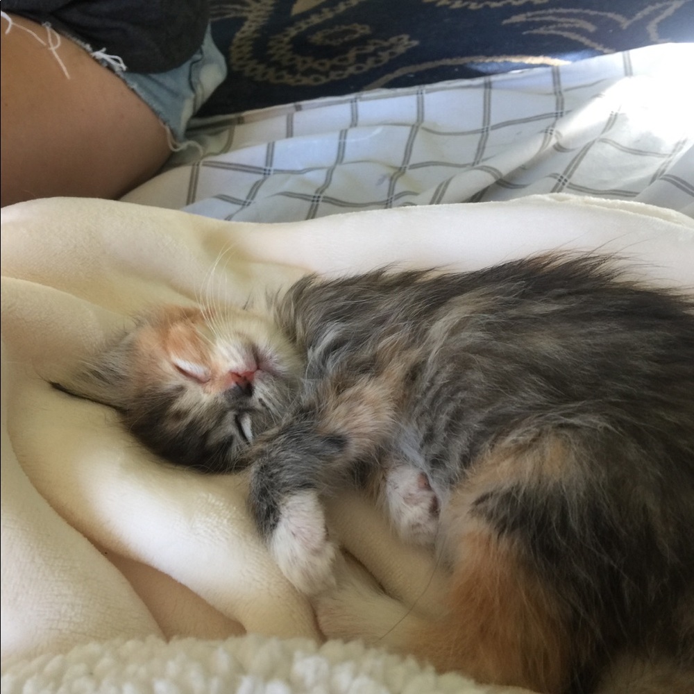 Meet your Posher, Carolyn